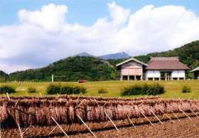 関農産　田園風景