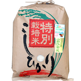 コシヒカリ(白米)　10kg