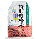 満月餅(白米)　10kg